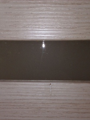 ДО 60 Вена кипарис белый, покрытие Экошпон (ALBERO) лот 18178544