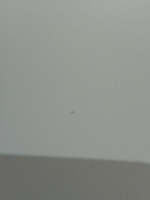 ДГ 80 Стиль 2, белый, покрытие Эмаль лот 19393536