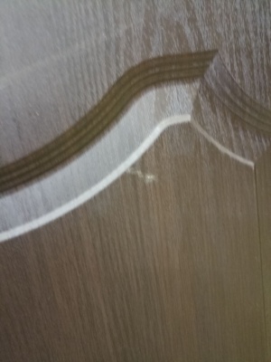 ***ДО 80 Орхидея венге Ростра, ПВХ, белое, с худ.рис. и фьюзингом, ЛОТ 18178953